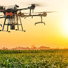 Agriculture